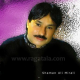 Tosa Aa Mohijo Pyar Pyar Dewanan Wage - Mp3 + VIDEO Karaoke - Shaman Ali Mirali - Saraiki