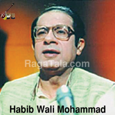 Ye na thi hamari qismat - Mp3 + VIDEO Karaoke - Habib Wali Muhammad