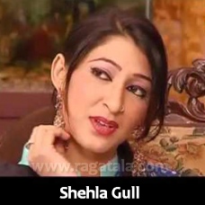 Muhnjo Khiyal Na Aai - Karaoke Mp3 - Shehla Gul - Saraiki